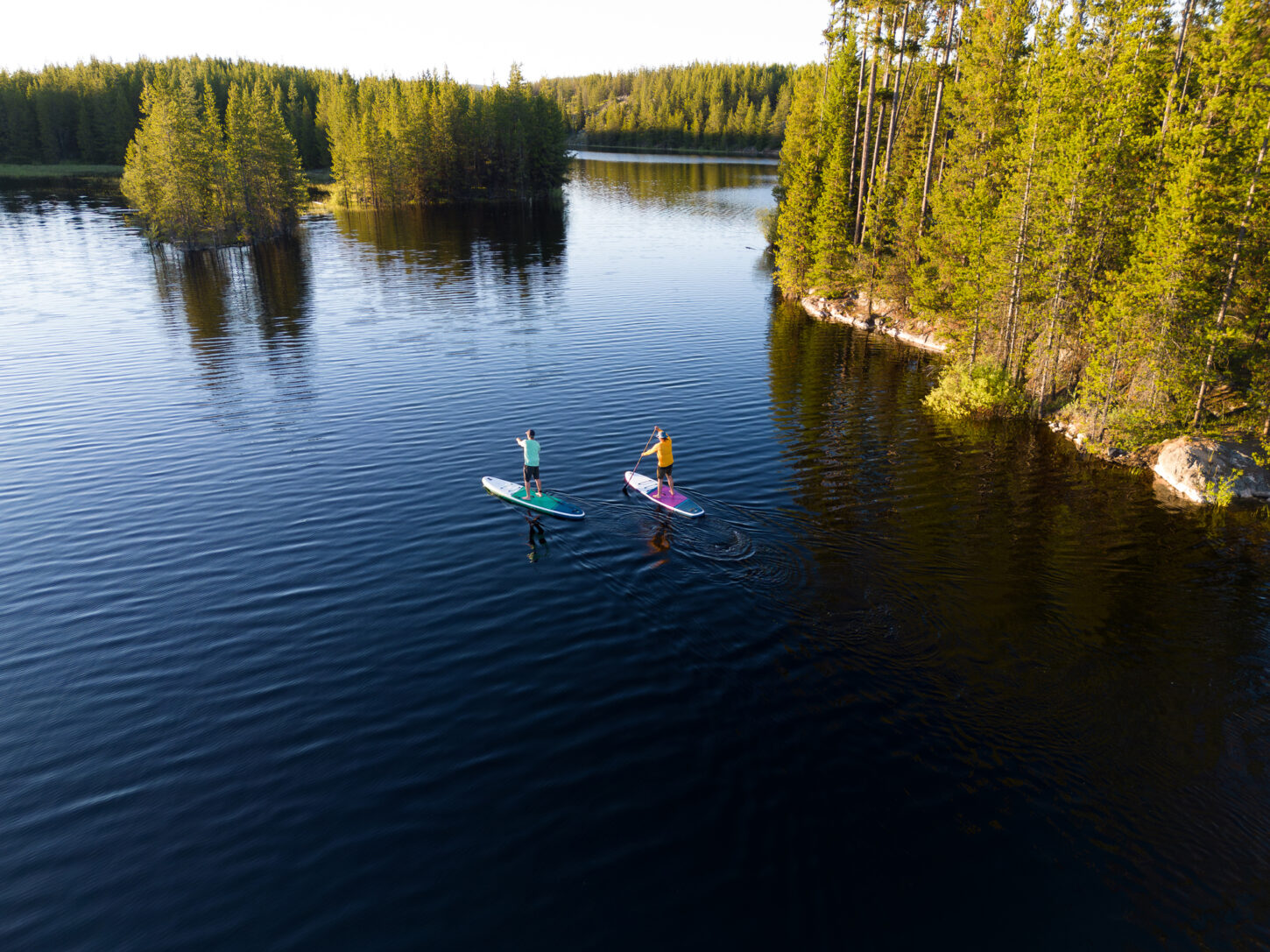 Nachhaltigkeit bei der FUTURA Vorsorge
